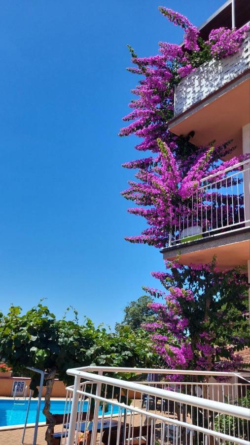 Stella Apartments Винкуран Екстериор снимка